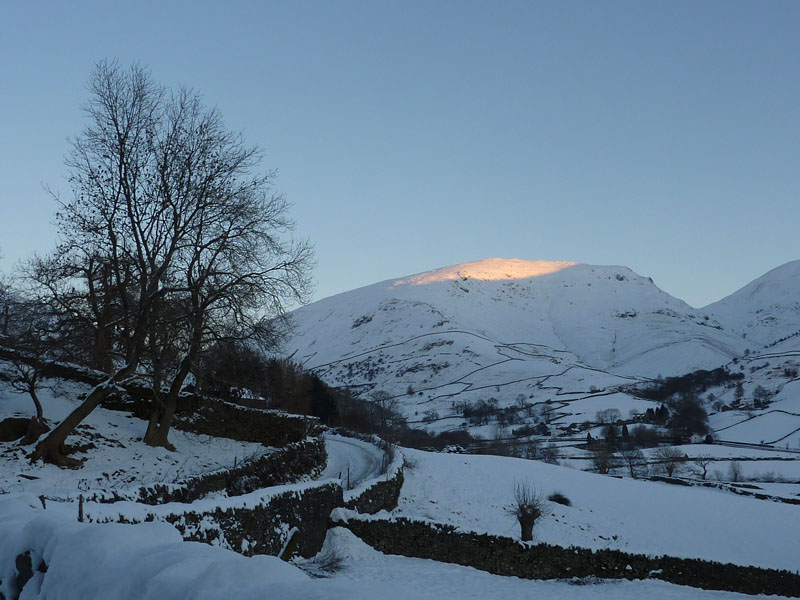 Seat Sandal